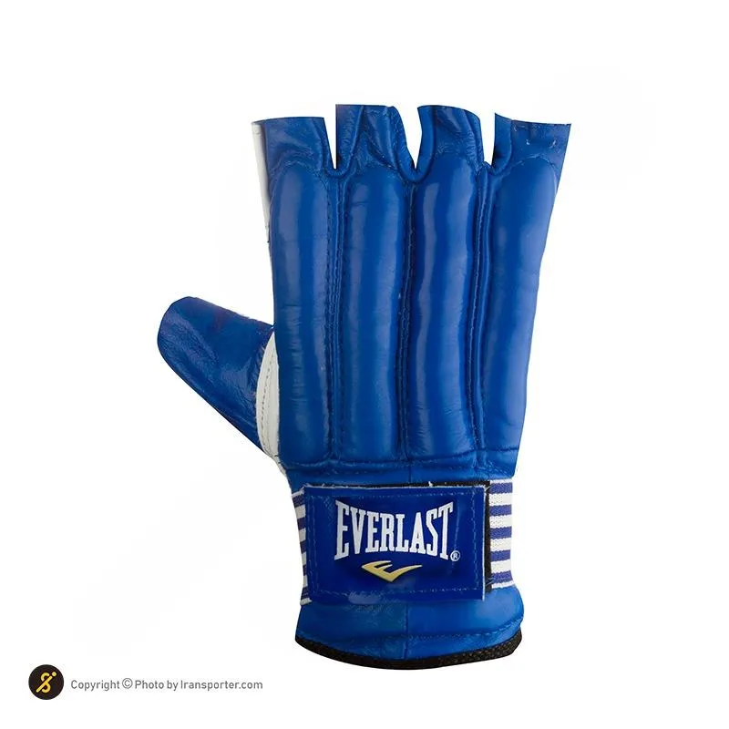 دستکش کونگ فو چرمی Everlast BYT