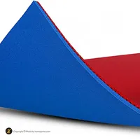 رویه راکت دونیک بلو گریپ C2 HGH