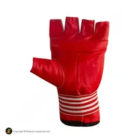 دستکش کونگ فو چرمی Everlast BYT