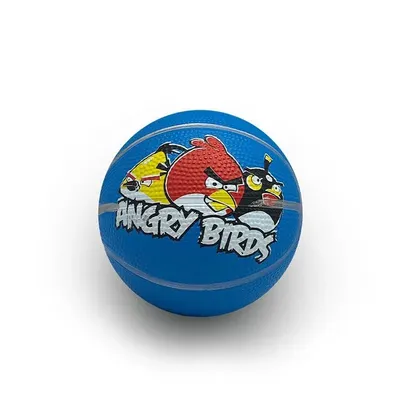 توپ آموزشی بسکتبال مینی طرح دار بتا DST