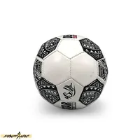 توپ آموزشی فوتبال مینی دربی استار DST