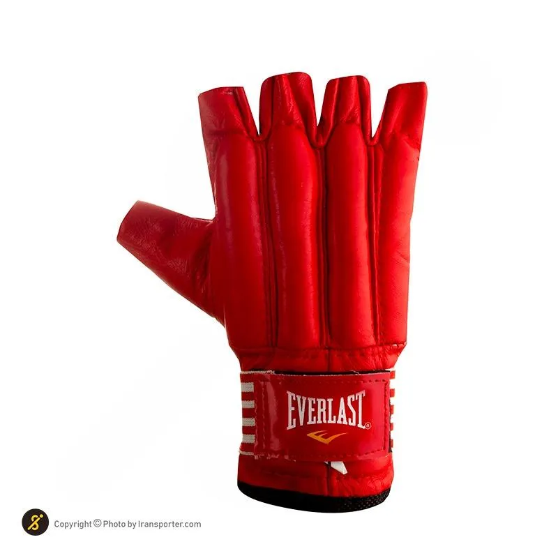 دستکش کونگ فو چرمی Everlast BYT