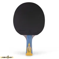 راکت پینگ پنگ جاینت دراگون 5 ستاره ینگیسار با کاور