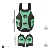 میت تکواندو هیکلی Venum BYT