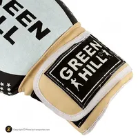 دستکش بوکس Green Hill-01