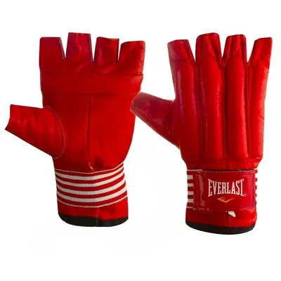 دستکش کونگ فو چرمی Everlast BYT