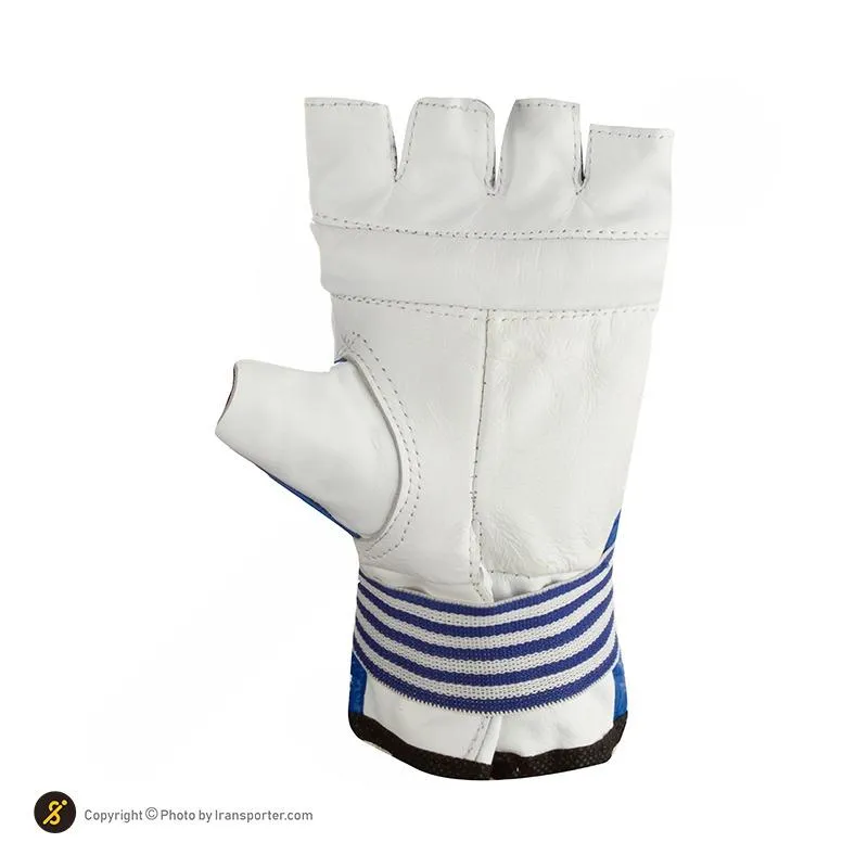 دستکش کونگ فو چرمی Everlast BYT