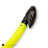 اسنورکل شنا Free Shark