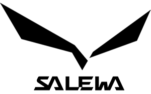 لوگوی برند سالیوا