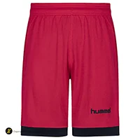 ست تیشرت شلوارک مردانه سوزنی طرح هیومل