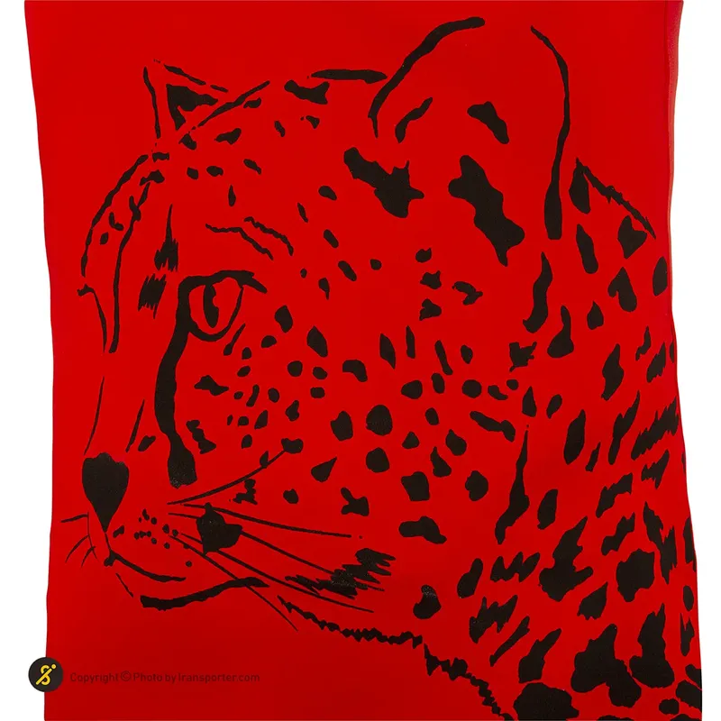 ست پیراهن شورت فوتبال آلشپرت MUH 1811-003