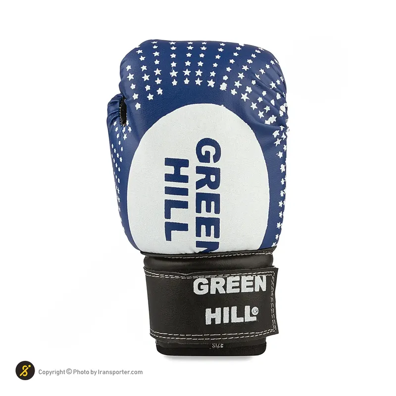 دستکش بوکس Green Hill-01
