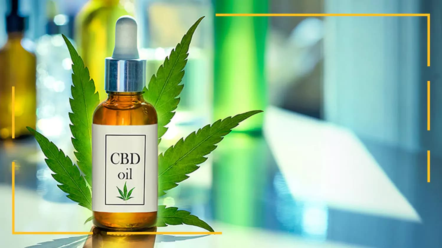 سی بی دی (CBD)، ترکیبی مؤثر برای تسکین درد و التهاب در ورزشکاران